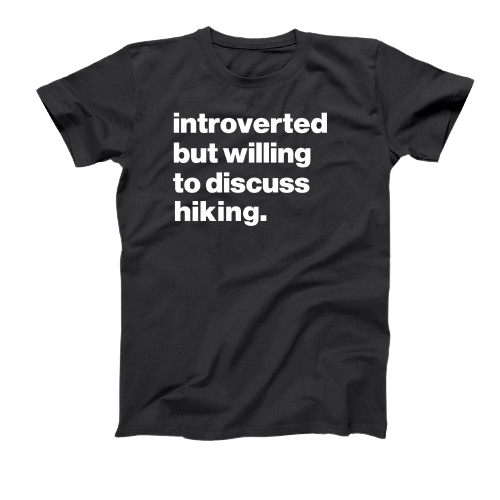Introverted But Willing To Discuss Hacking Tshirt - Donkey Tees