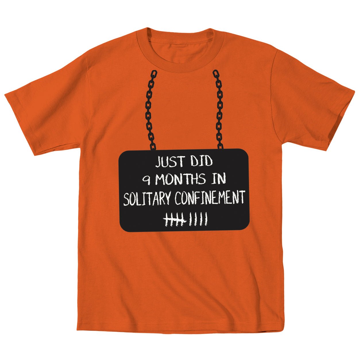 Just Did 9 Months In Solitary - Donkey Tees T-shirt