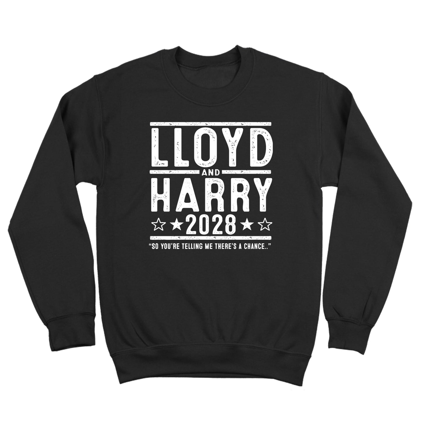 Lloyd and Harry 2028 Election - Donkey Tees T-shirt