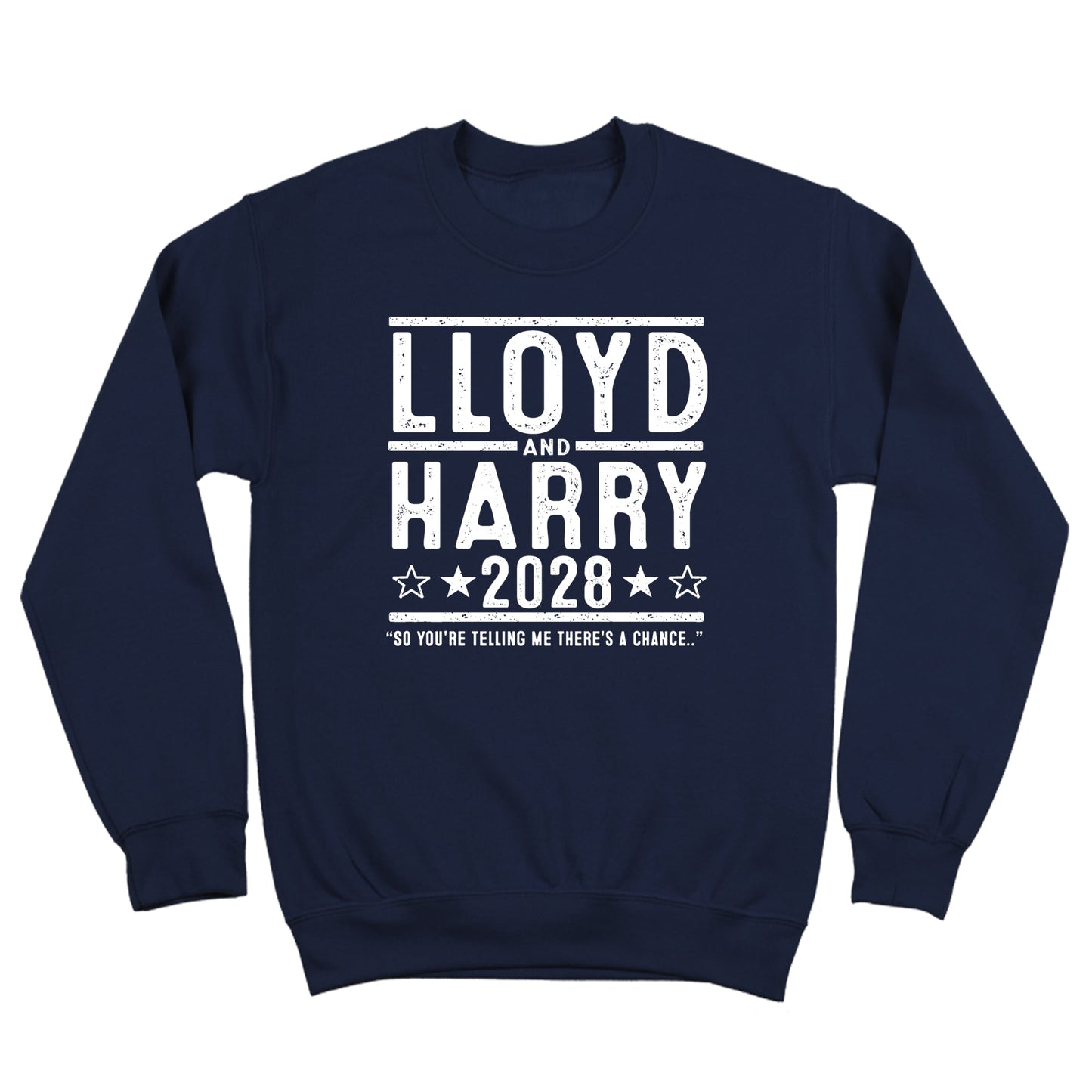 Lloyd and Harry 2028 Election - Donkey Tees T-shirt