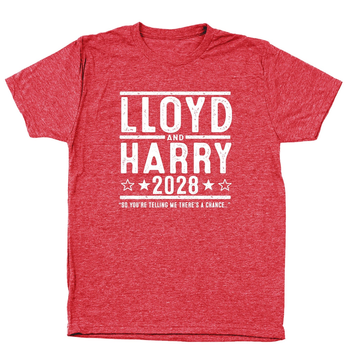 Lloyd and Harry 2028 Election - Donkey Tees T-shirt