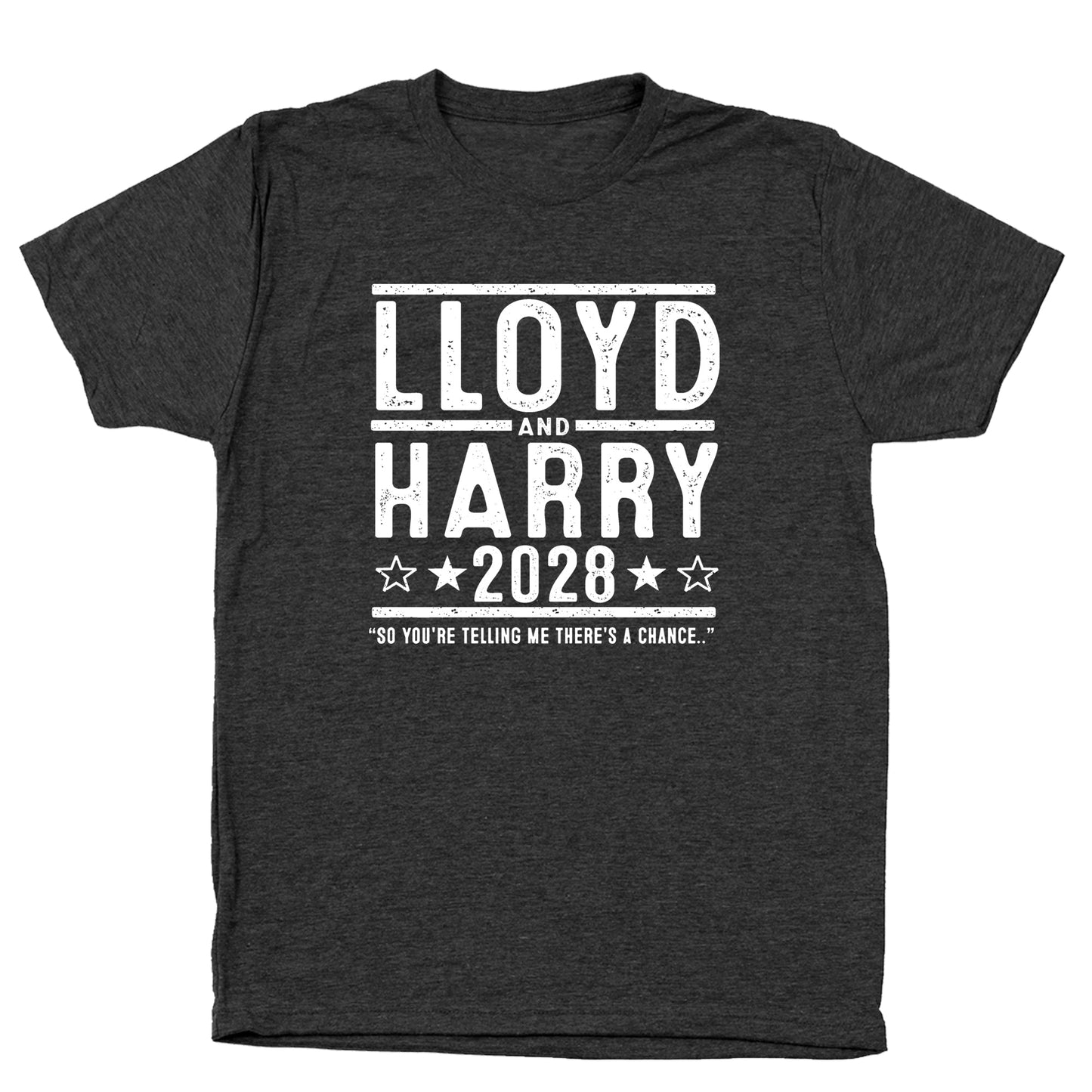 Lloyd and Harry 2028 Election - Donkey Tees T-shirt