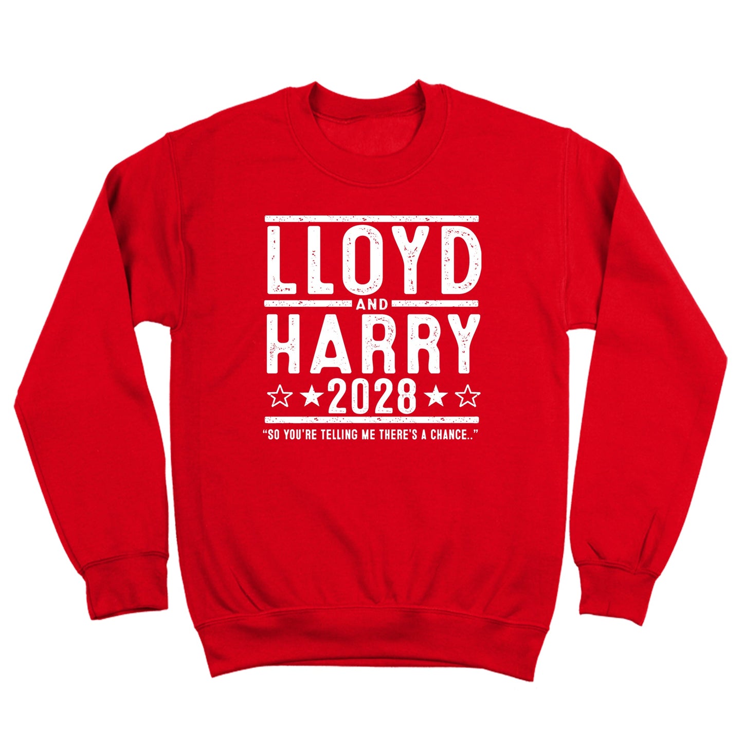 Lloyd and Harry 2028 Election - Donkey Tees T-shirt