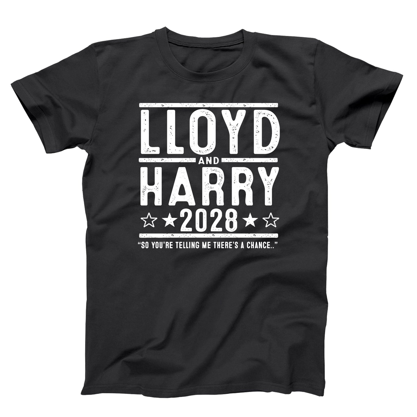 Lloyd and Harry 2028 Election - Donkey Tees T-shirt