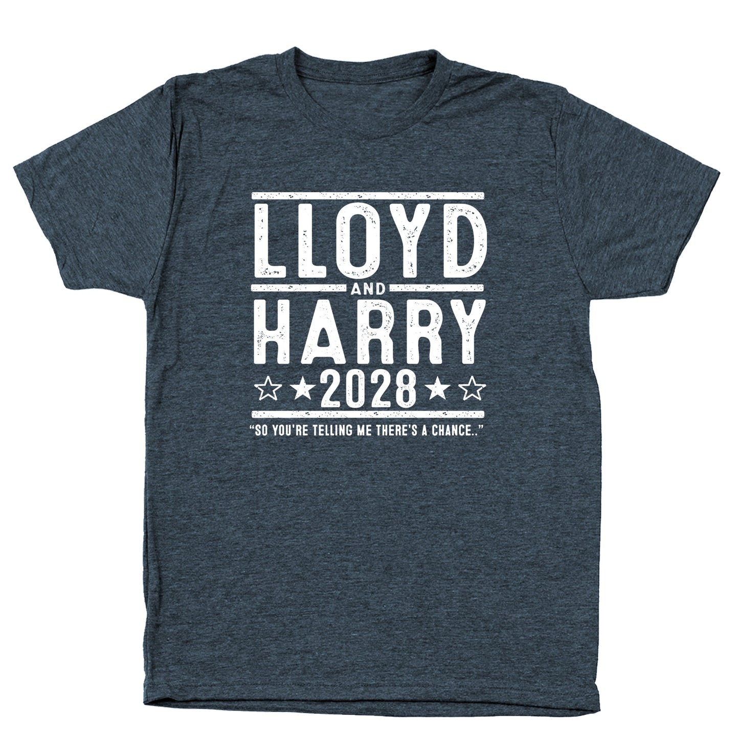 Lloyd and Harry 2028 Election - Donkey Tees T-shirt