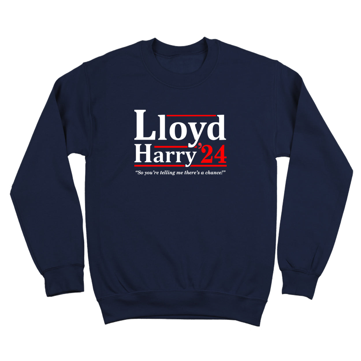 Lloyd and Harry 2024 Election Tshirt - Donkey Tees
