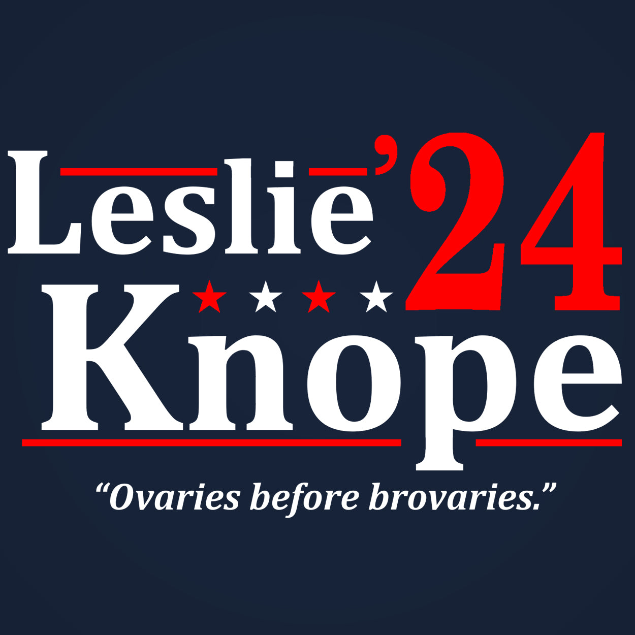 Leslie Knope 2024 Election Tshirt - Donkey Tees