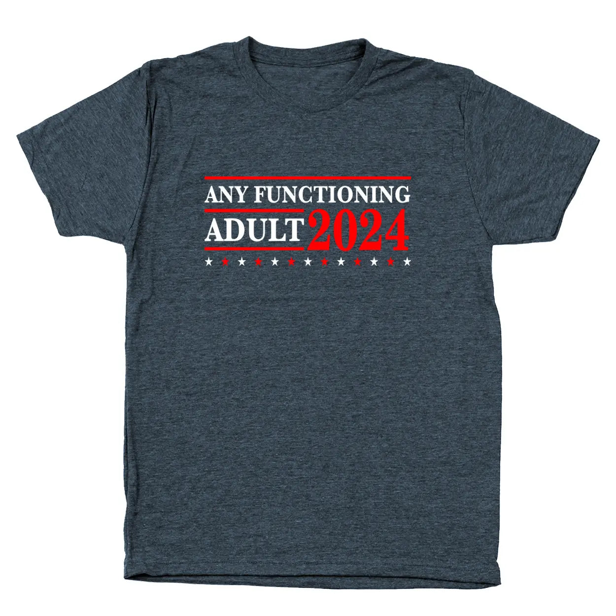 Any Functioning Adult 2024 Election Tshirt - Donkey Tees