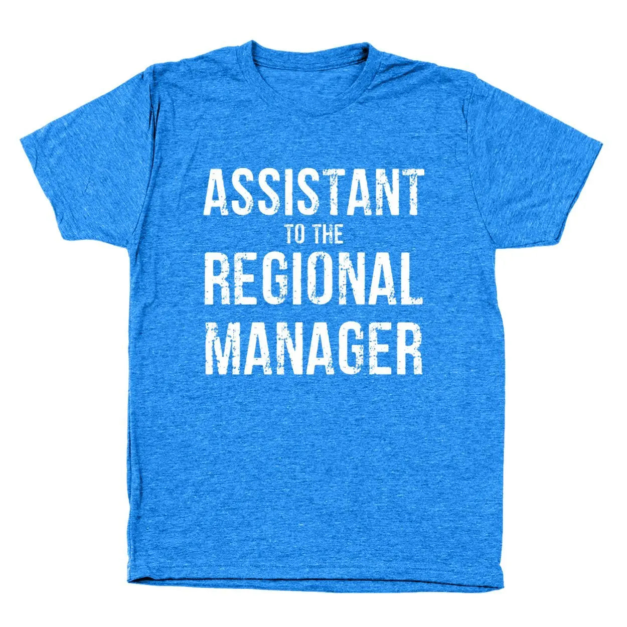 Assistant To The Regional Manager Tshirt - Donkey Tees