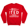 Bill and Ted 2024 Election