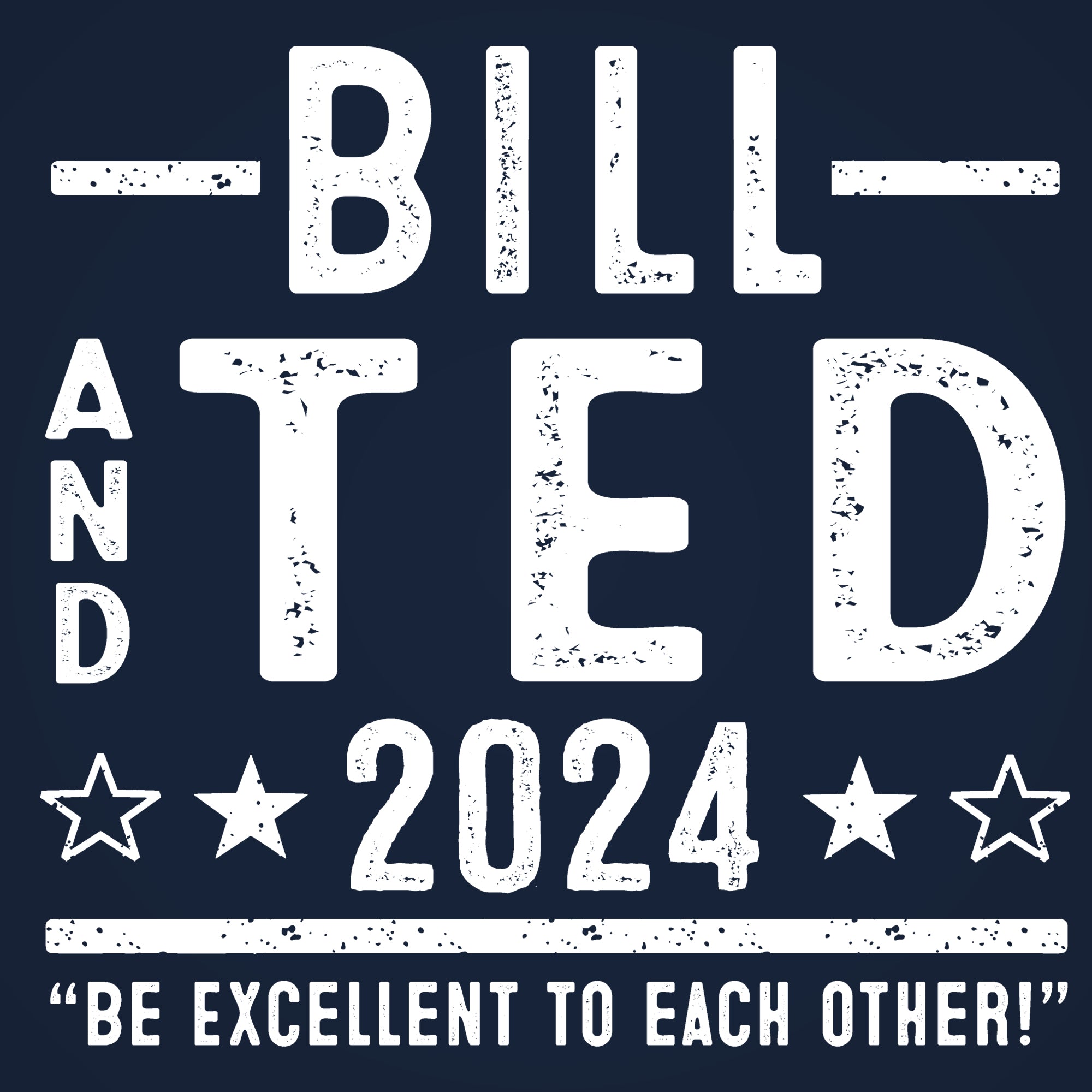 Bill and Ted 2024 Election