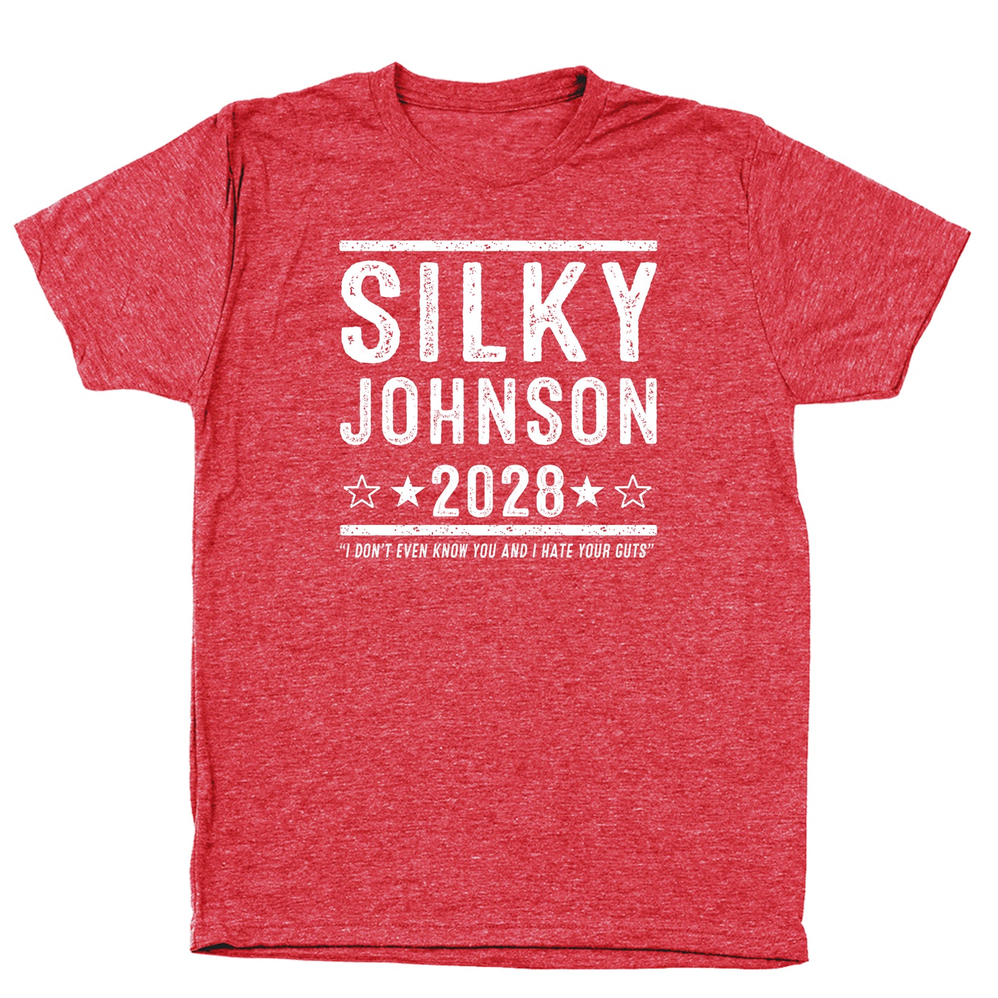 Silky Johnson 2028 Election