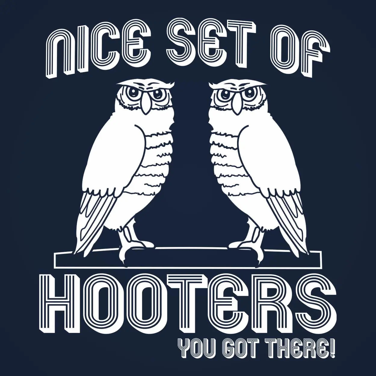 Nice Set Of Hooters You Got There Tshirt - Donkey Tees