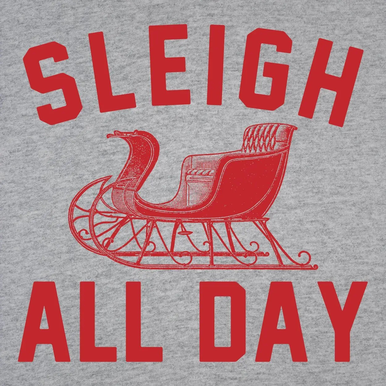Sleigh All Day Tshirt - Donkey Tees