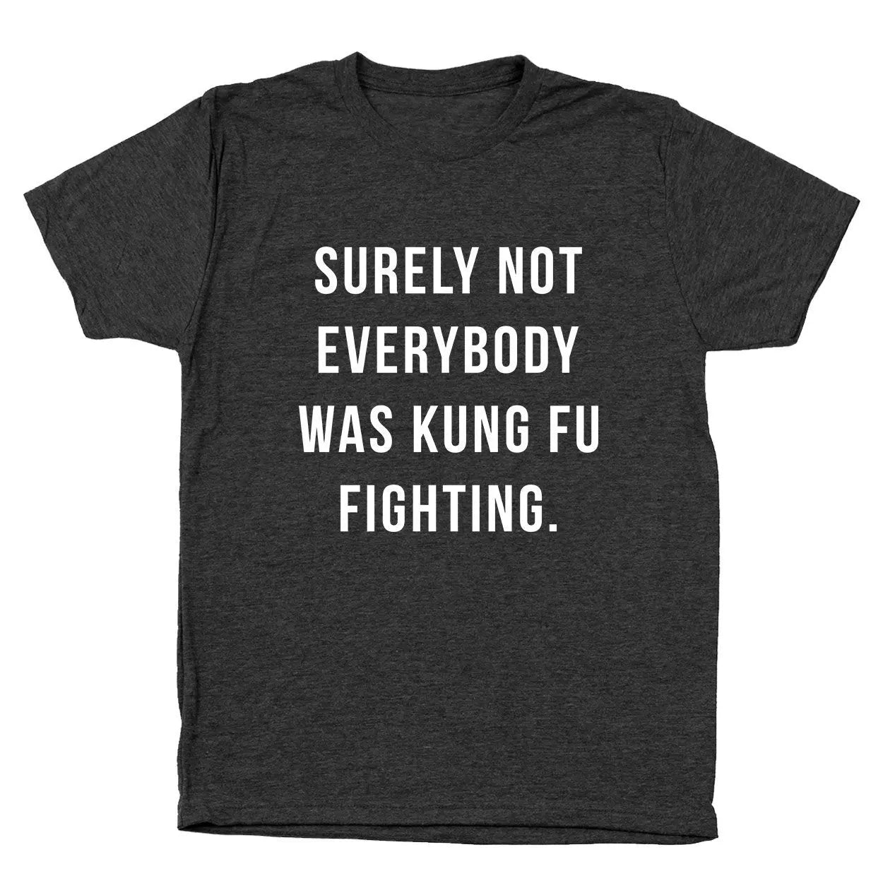 Surely Not Everybody Was Kung Fu Fighting Tshirt - Donkey Tees