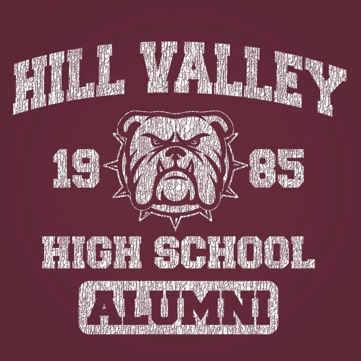 Hill Valley 1985 Alumni - Donkey Tees T-shirt