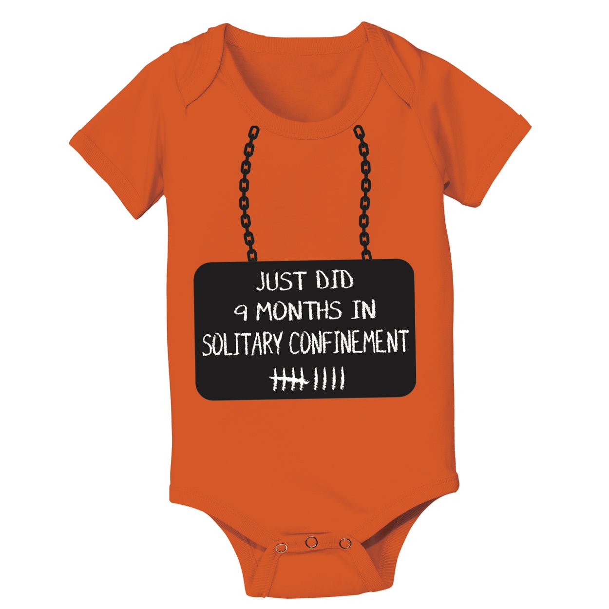 Just Did 9 Months In Solitary - Donkey Tees T-shirt