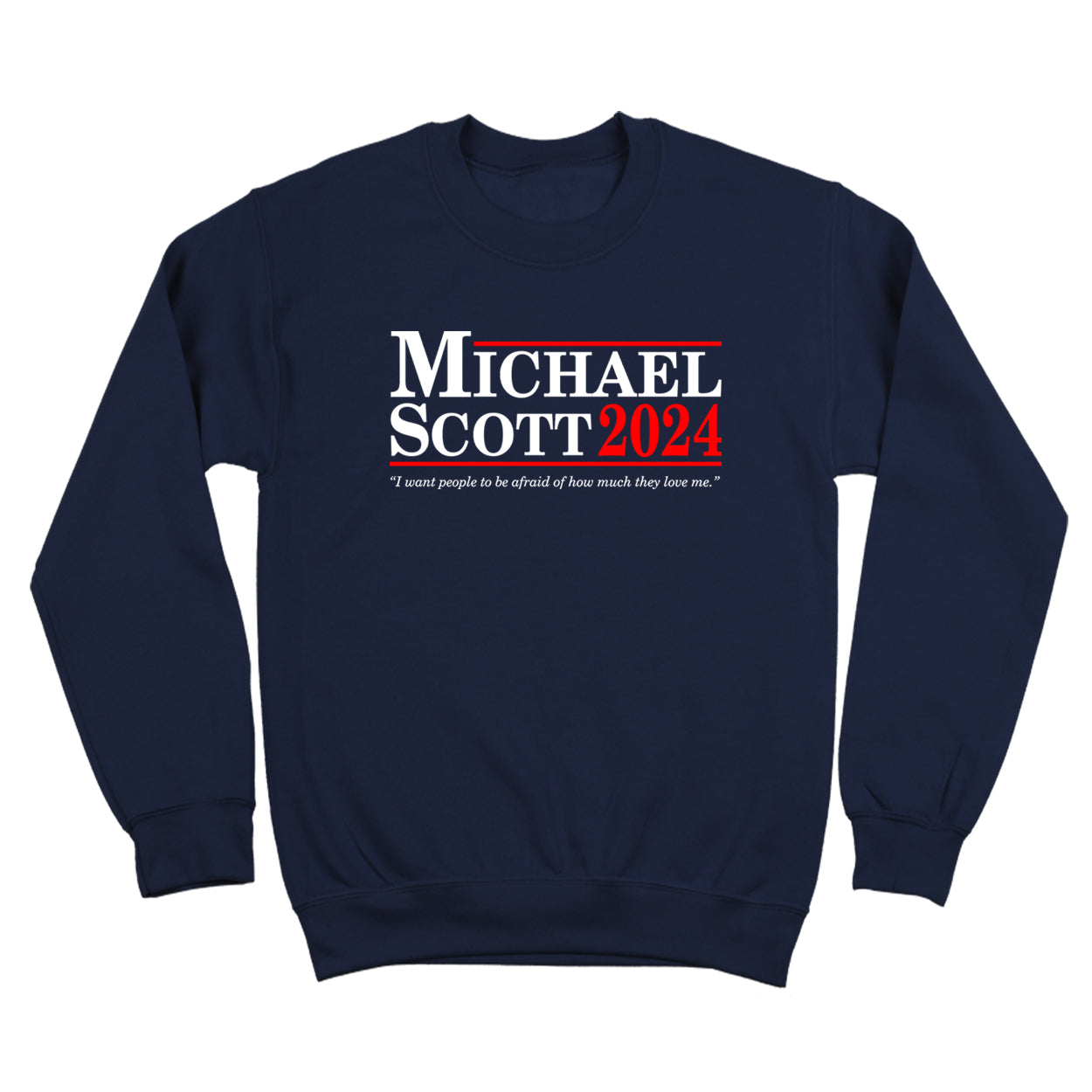 Michael Scott 2024 Election