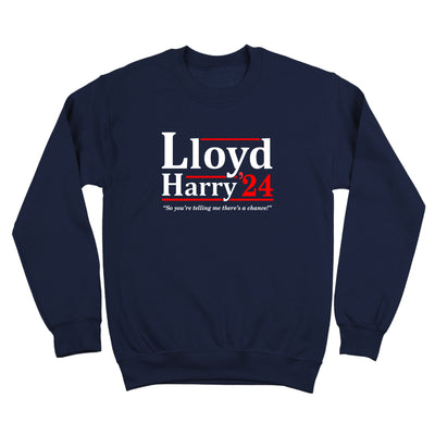 Lloyd and Harry 2024 Election