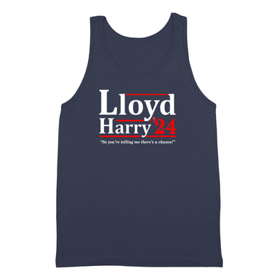 Lloyd and Harry 2024 Election