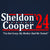 Sheldon Cooper 2024 Election