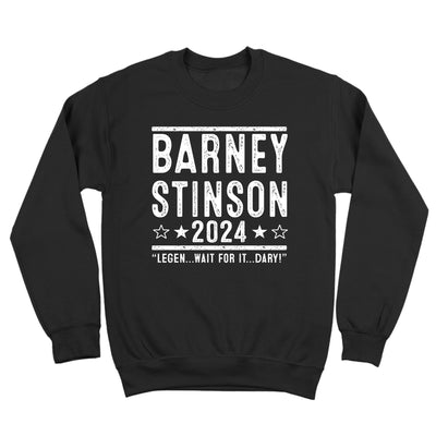 Barney Stinson 2024 Election