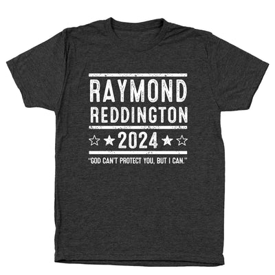 Raymond Reddington 2024 Election