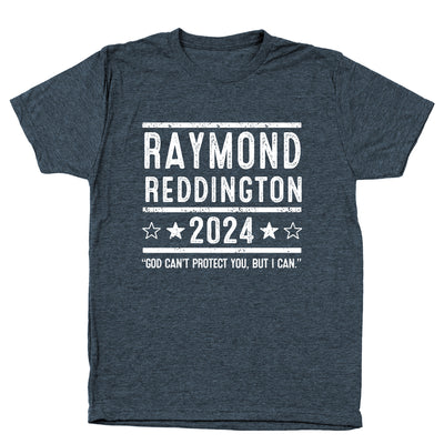 Raymond Reddington 2024 Election