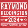 Raymond Reddington 2024 Election